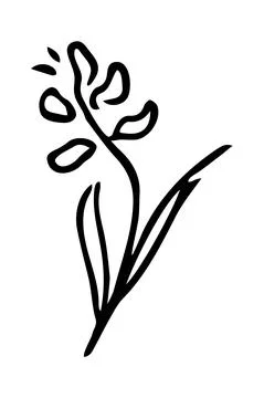 Vector isolated element. Illustration with flower. Minimalist hand drawn Stock Illustration