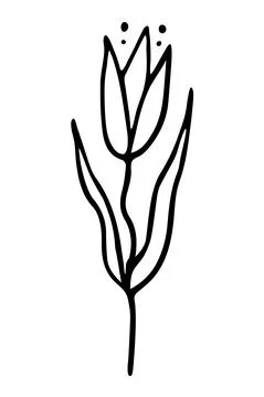Vector isolated element. Illustration with flower. Minimalist hand drawn Stock Illustration