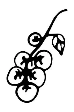 Vector isolated element. Illustration with tomato branch. Vegetable. Stock Illustration