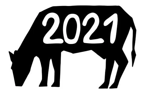 Vector isolated element, lettering for the upcoming new year, the year of the Stock Illustration