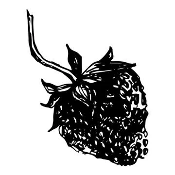 Vector isolated element, strawberry. Hand drawn doodle. Illustrazione stock