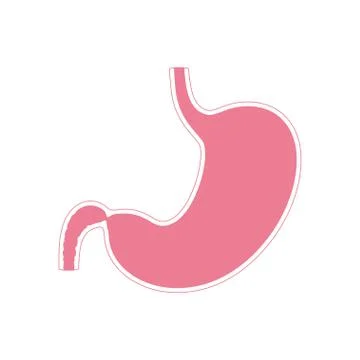 Vector isolated illustration of stomach Stock Illustration