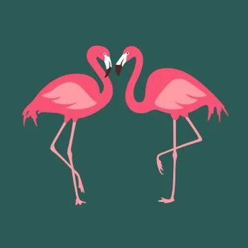 Vector isolated pink flamingos pair. Hand Drawn illustration Stock Illustration