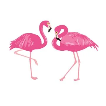 Vector isolated pink flamingos pair. Hand Drawn illustration Stock Illustration