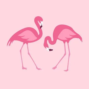 Vector isolated pink flamingos pair. Hand Drawn illustration Stock Illustration