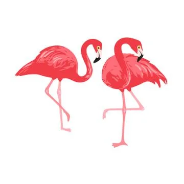 Vector isolated pink flamingos pair. Hand Drawn illustration Stock Illustration
