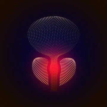 Vector isolated prostate with pain center. 3D white human organ . Medicine co 스톡 일러스트
