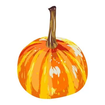 Vector isolated pumpkin. illustration of pumpkin for an autumn design Stock Illustration