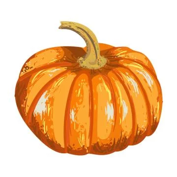 Vector isolated pumpkin. illustration of pumpkin for an autumn design Stock Illustration