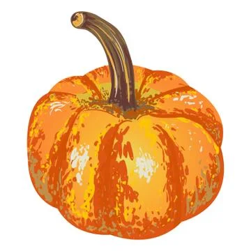Vector isolated pumpkin. illustration of pumpkin for an autumn design Stock Illustration