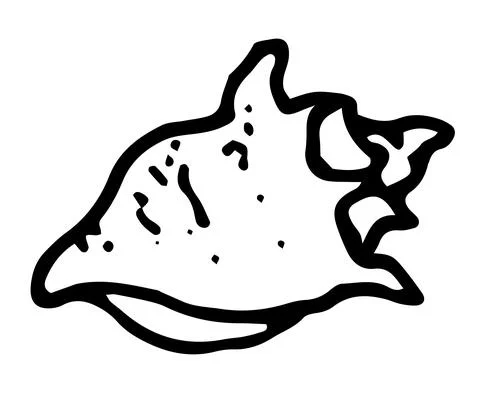 Vector isolated seashell element hand drawn in doodle style black outline on Illustrazione stock