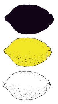 Vector Isolated set element citrus fruit LEMON outline and silhouette, black Stock Illustration