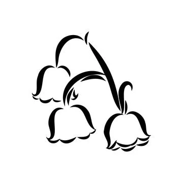 Vector isolated single lily valley branch colorless black and white contour l Stock Illustration