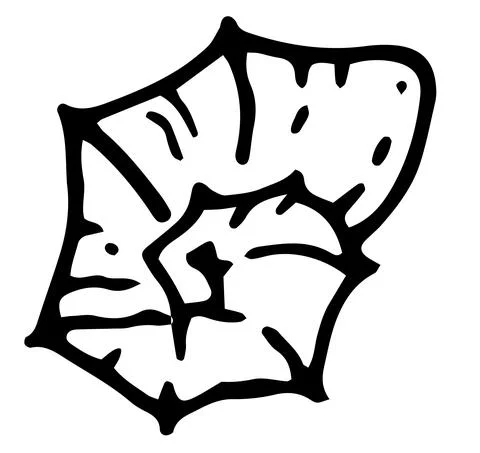 Vector isolated spiral element with sharp corners, seashell swirled texture Stock Illustration