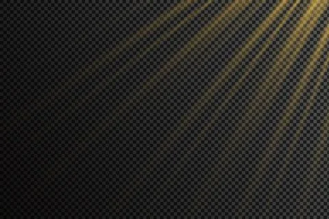 Vector isolated spotlight. Light effect Stock Illustration