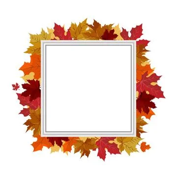 Vector isolated square frame of yellow dry maple autumn leaves. Border for te Stock Illustration