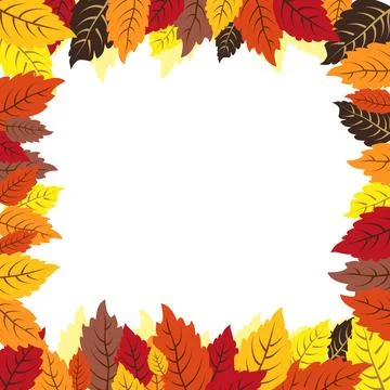 Vector isolated square frame of yellow dry alder autumn leaves. Border for te Stock Illustration