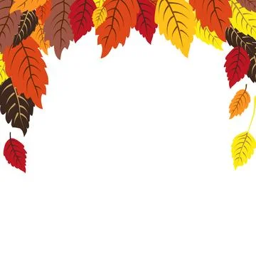 Vector isolated square frame of yellow dry alder autumn leaves. Border for te Stock Illustration