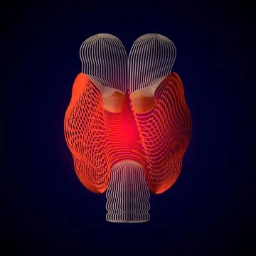 Vector isolated Thyroid with pain center. 3D human organ . Medicine concept w Illustrazione stock