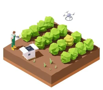 Vector isometric agricultural drone inspecting crop field Stock Illustration