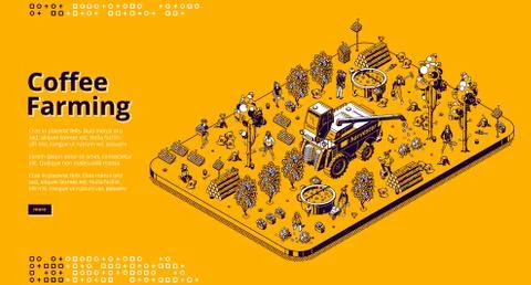 Vector isometric banner of coffee farming Stock Illustration