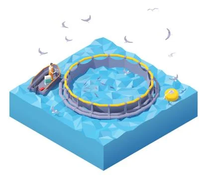 Vector isometric feeding fish at fish farm Stock Illustration