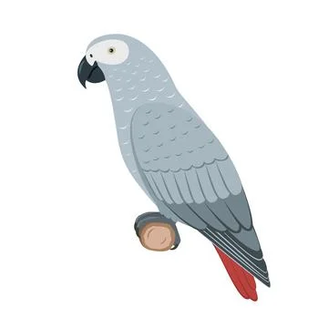 Vector jaco parrot 스톡 일러스트