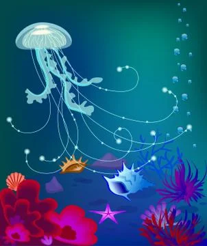 Vector jelly fish underwater world, sea shell Stock Illustration
