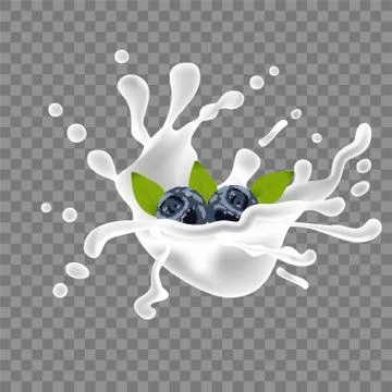 Vector juicy wave, flowing liquid. Splashing milk. Vector fluid. Blueberries  Stock Illustration