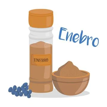Vector juniper illustration isolated in cartoon style. Spanish name. Herbs .. Ilustración de archivo