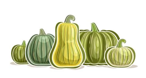 Vector Kabocha Logo Иллюстрация