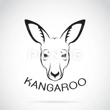 Vector of a kangaroo head on white background. Wild Animals. Stock Illustration