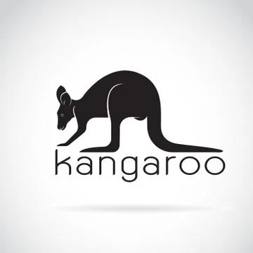 Vector of a kangaroo on white background. Wild Animals. Stock Illustration