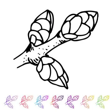 Vector Kidney bud black pattern in the plant design. Hand painted spring garden Illustrazione stock