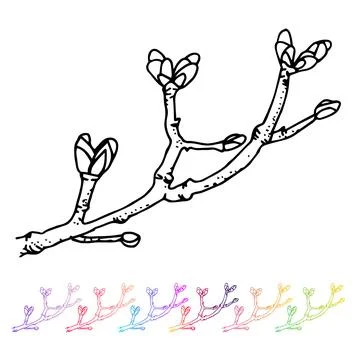 Vector Kidney bud black pattern in the plant design. Hand painted spring garden Stock Illustration