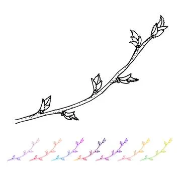 Vector Kidney bud black pattern in the plant design. Hand painted spring garden Stock Illustration