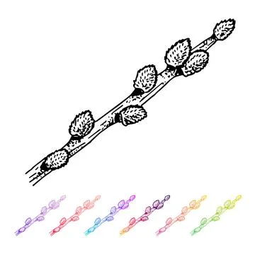 Vector Kidney bud verba black pattern in the plant design. Hand painted spring Stock Illustration
