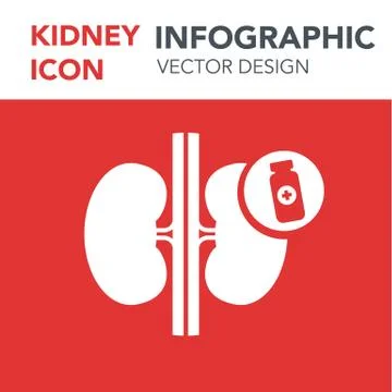 Vector Kidneys Infographics Banner Illustration Stock Illustration