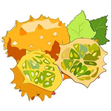 Vector Kiwano Fruit Stock Illustration