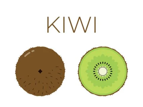 Vector of kiwi and sliced half of kiwi on white background Stock-Illustration