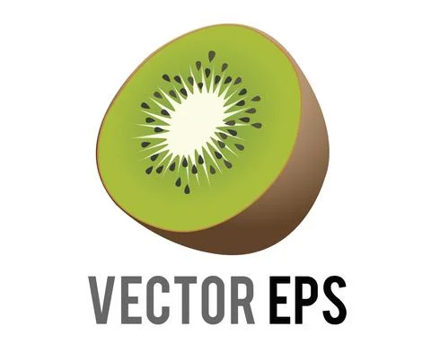 Vector kiwi fruit icon with fuzzy, brown skin, green flesh, white core, black Stock Illustration