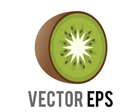 Vector kiwi fruit icon with fuzzy, brown skin, green flesh, white core, black Stock Illustration
