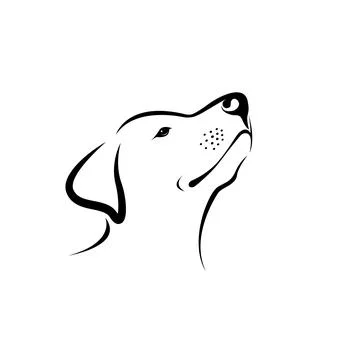 Vector of labrador dog head isolated on white background. Easy editable layer Stock Illustration
