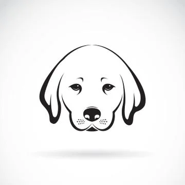 Vector of Labrador dog head on white background, Pet Animal. Illustrazione stock