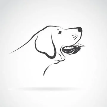 Vector of a labrador dog head on a white background. Pet. Animals. Illustrazione stock
