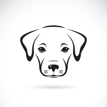 Vector of a labrador puppy face on white background. Dog. Pet Stock Illustration