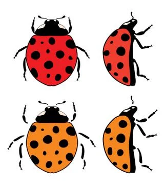 Vector ladybird flat symbols Stock Illustration