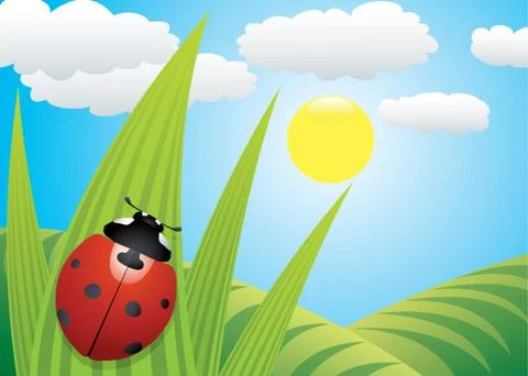 Vector ladybird on the leaf Stock Illustration