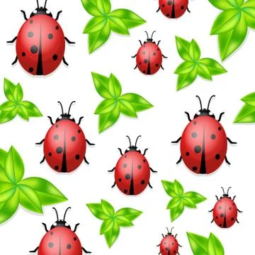 Vector ladybirds collection. White background with ladybugs. Trendy template for Stock Illustration