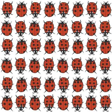 Vector ladybug red black white seamless pattern print background. Stock Illustration